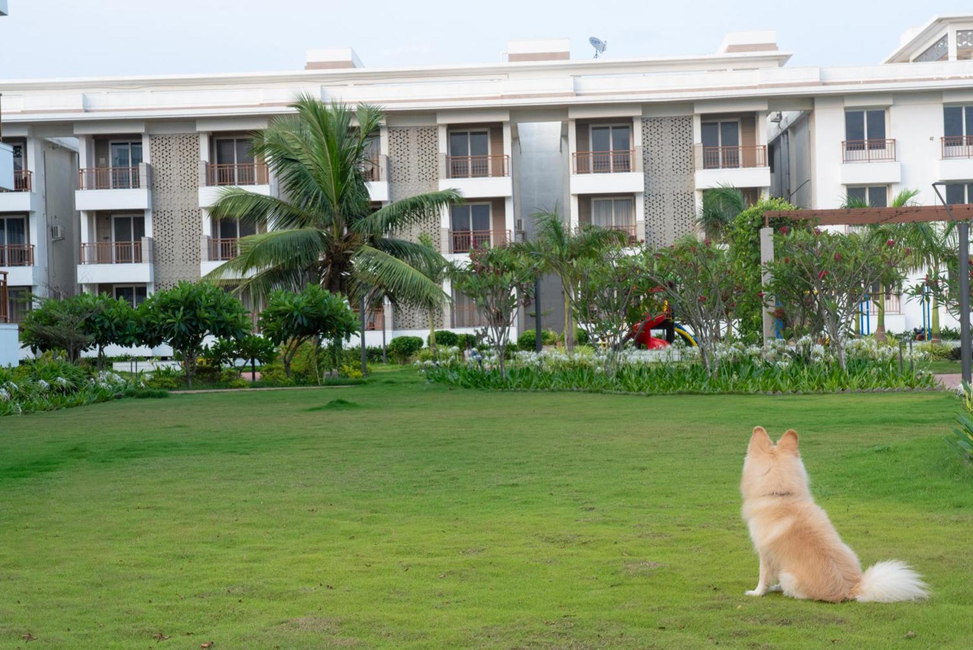 Palm Regal Resort Gopālpur Exteriör bild